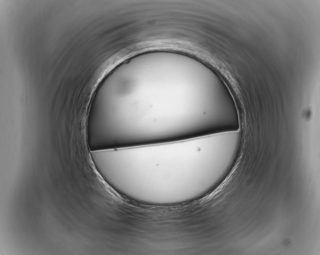 X0000099291529200805020721