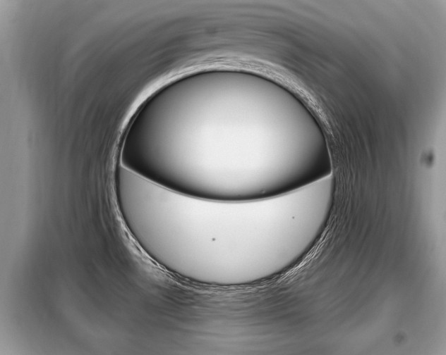 X0000099291530200805020721