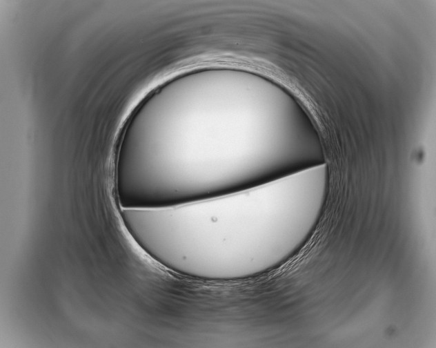 X0000099291531200805020721