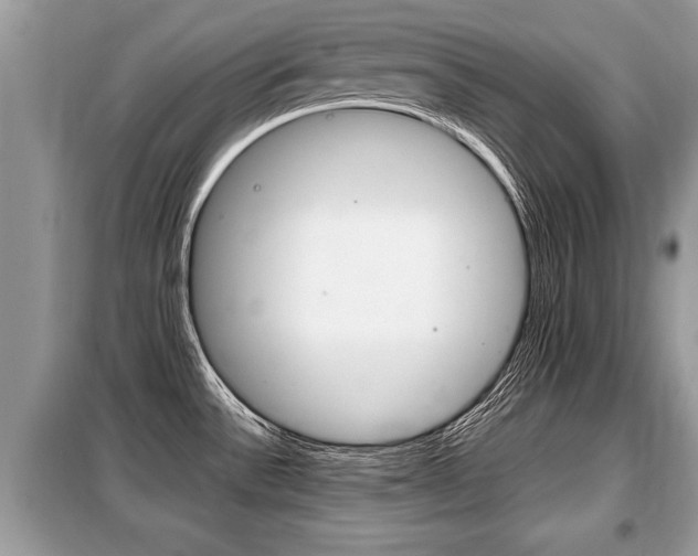X0000099291532200805020721