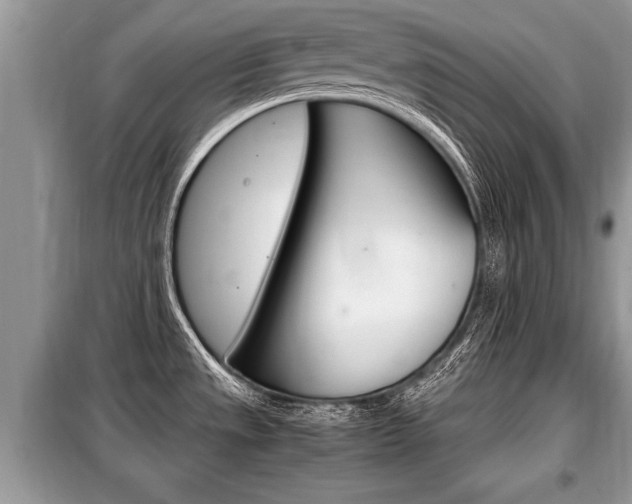 X0000099291533200805020721
