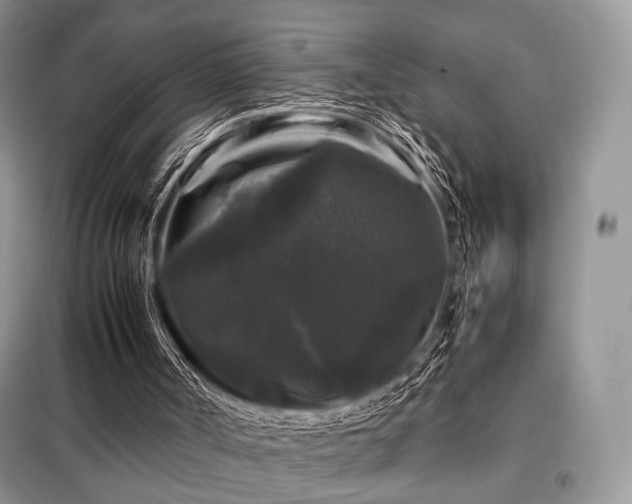 X0000099290002200805021242