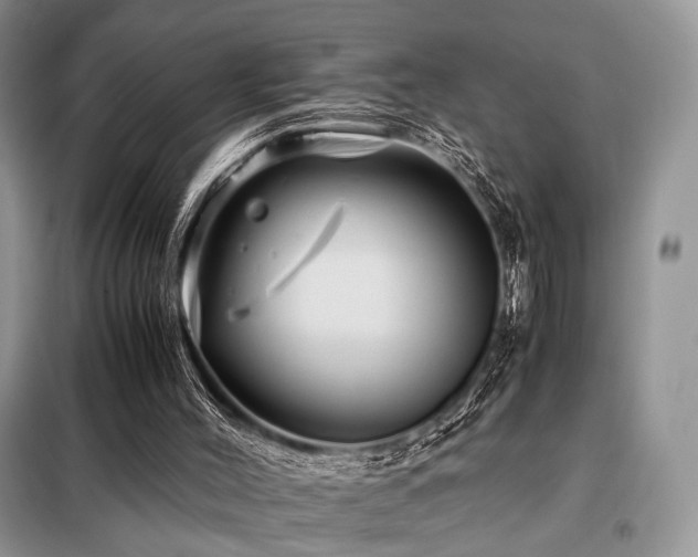 X0000099290004200805021242