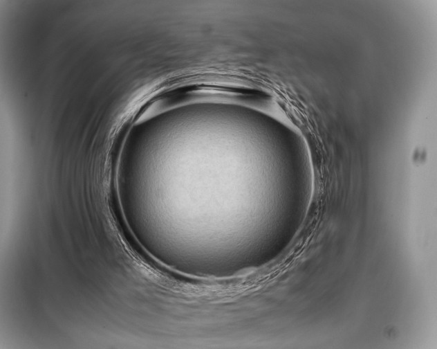 X0000099290005200805021242