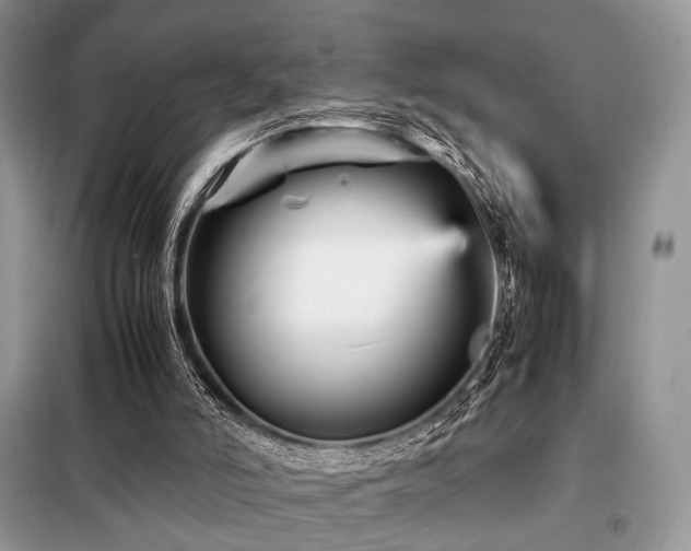 X0000099290006200805021242