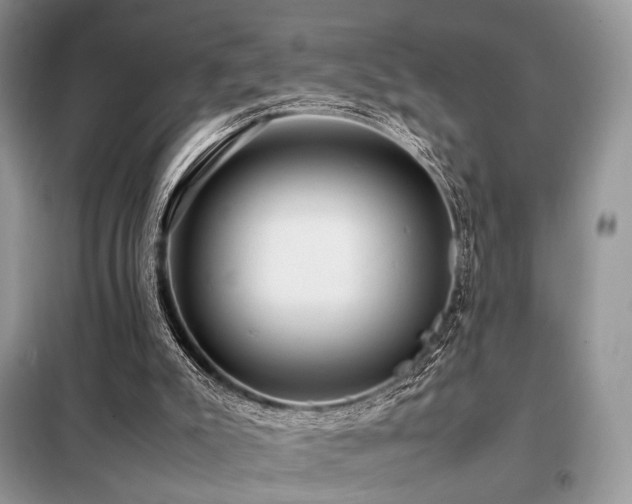 X0000099290007200805021242