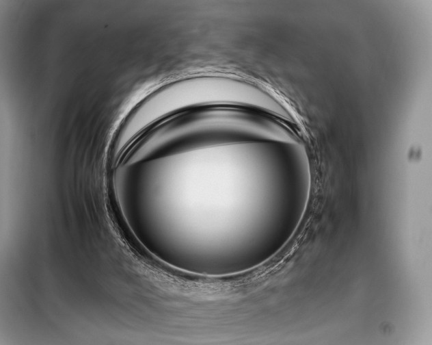 X0000099290008200805021242
