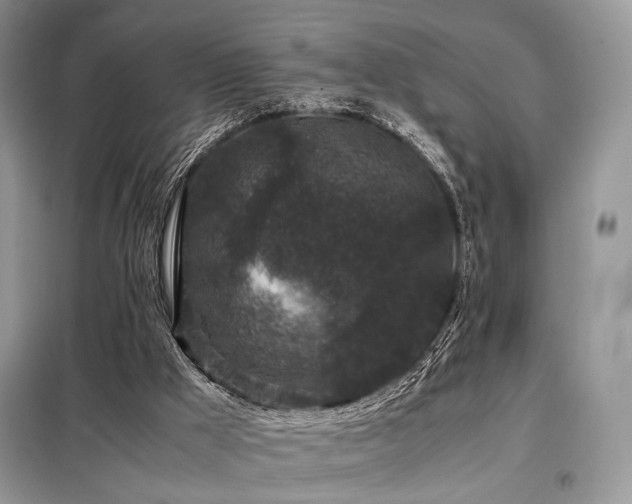 X0000099290009200805021242