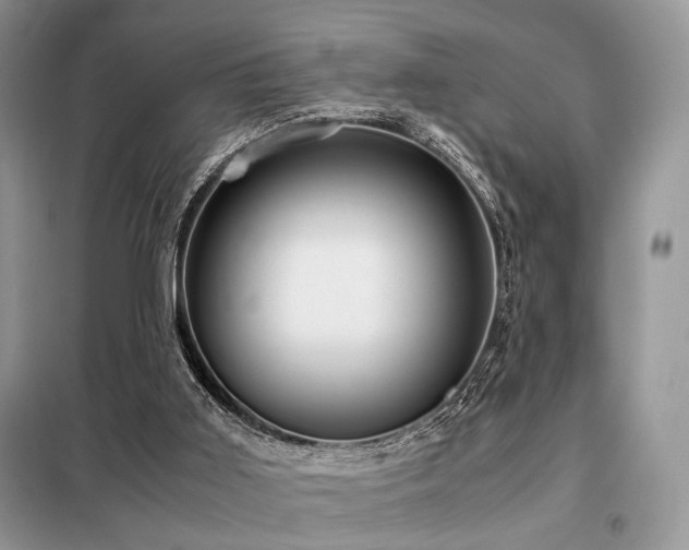 X0000099290011200805021242