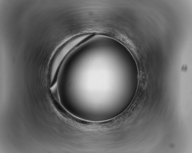 X0000099290012200805021242