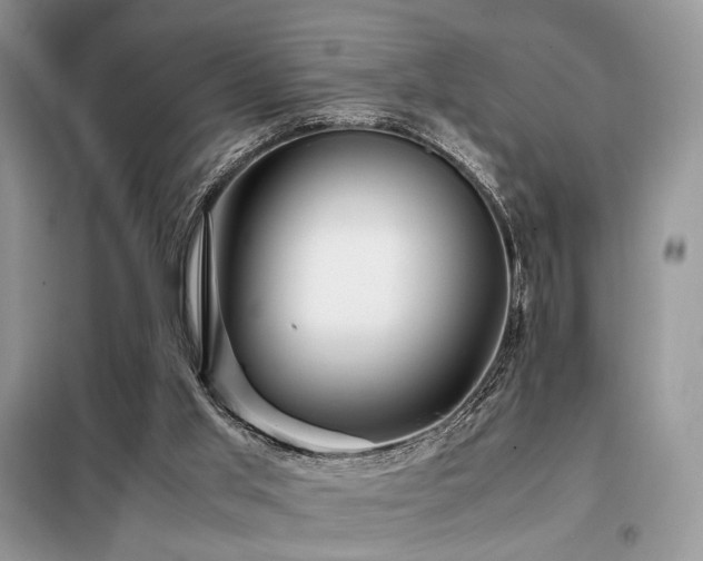 X0000099290013200805021242
