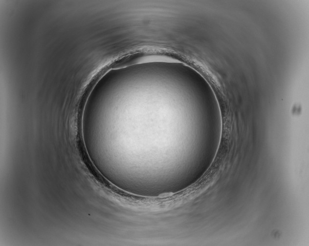 X0000099290015200805021242