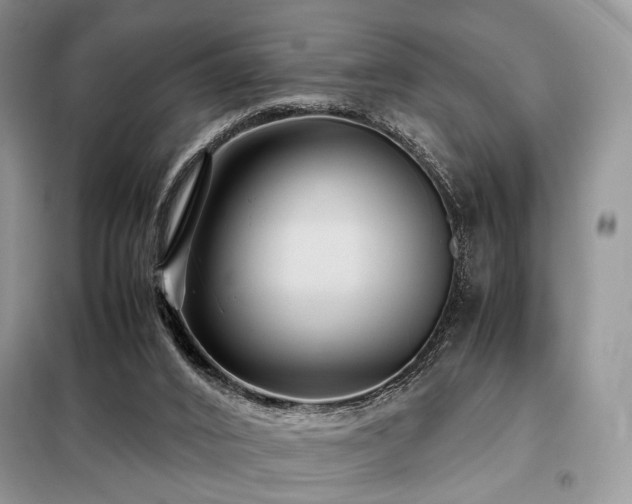 X0000099290016200805021242