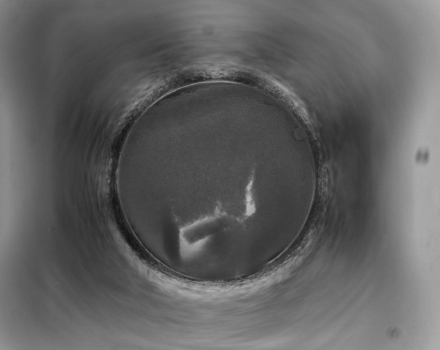 X0000099290018200805021242
