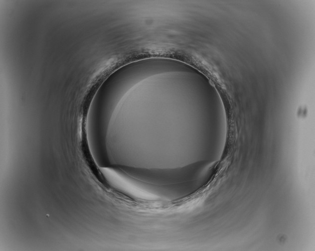 X0000099290019200805021242