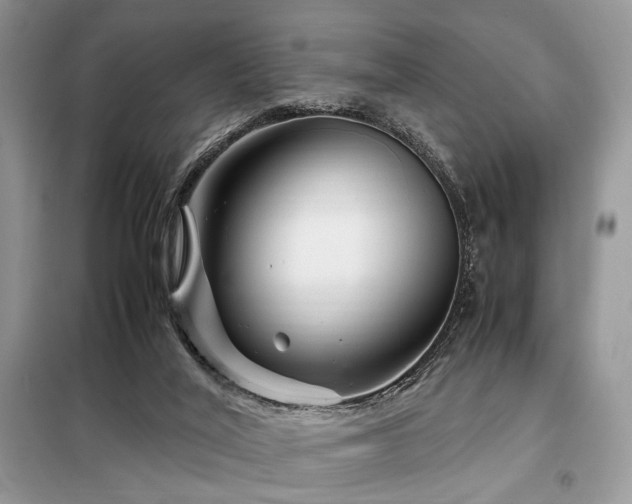 X0000099290020200805021242