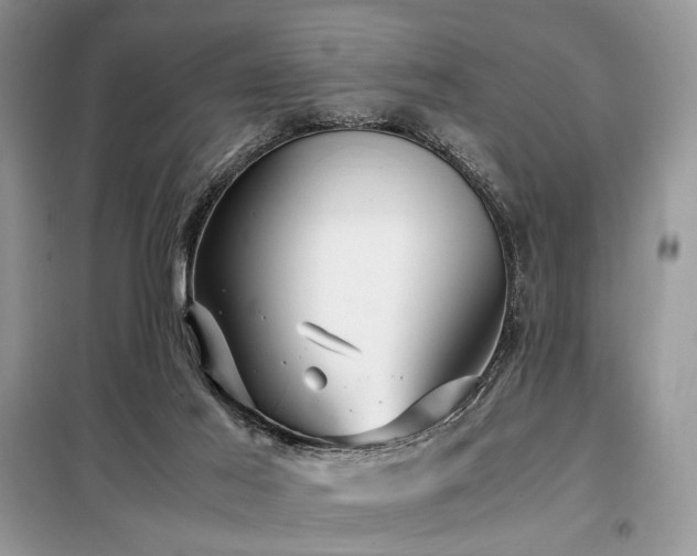 X0000099290021200805021242