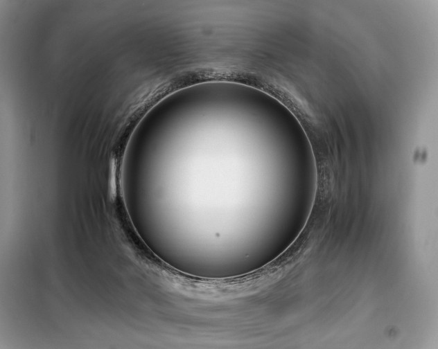 X0000099290022200805021242