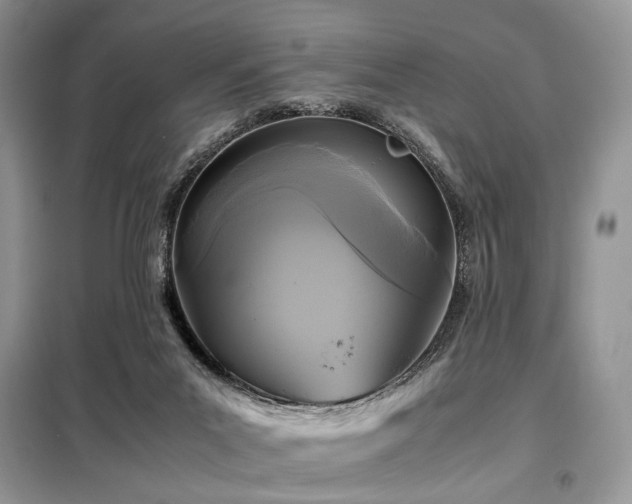 X0000099290023200805021242