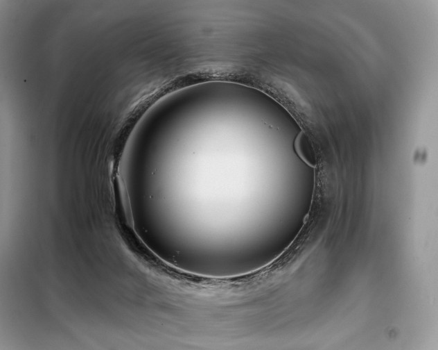 X0000099290024200805021242
