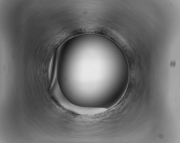 X0000099290025200805021242