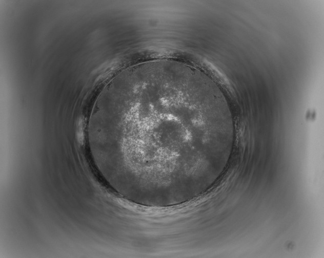 X0000099290026200805021242