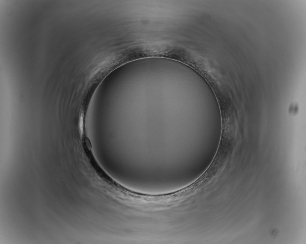 X0000099290027200805021242