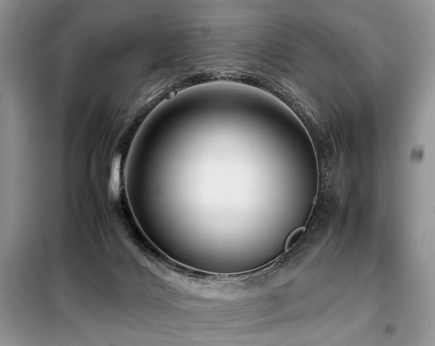 X0000099290028200805021242