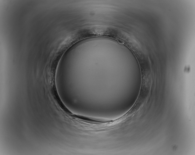 X0000099290031200805021242