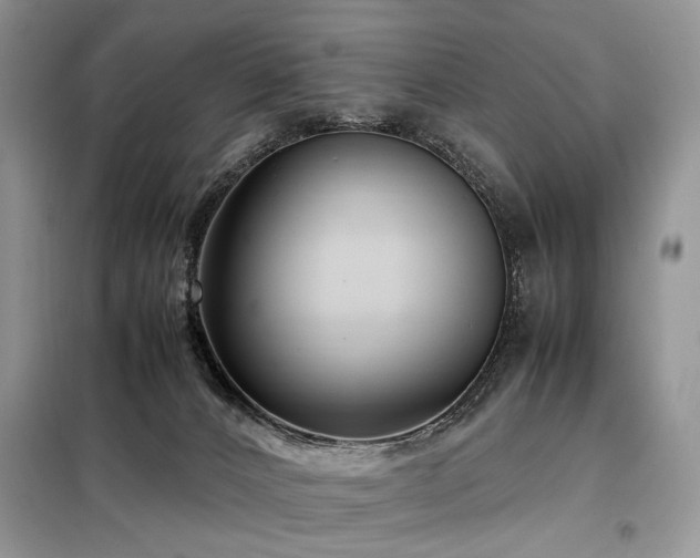 X0000099290032200805021242
