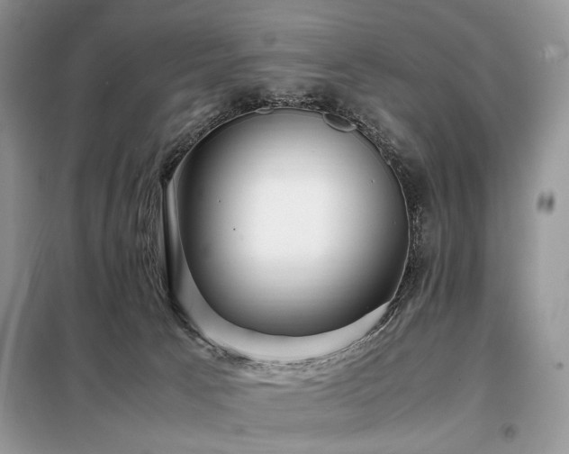 X0000099290033200805021242
