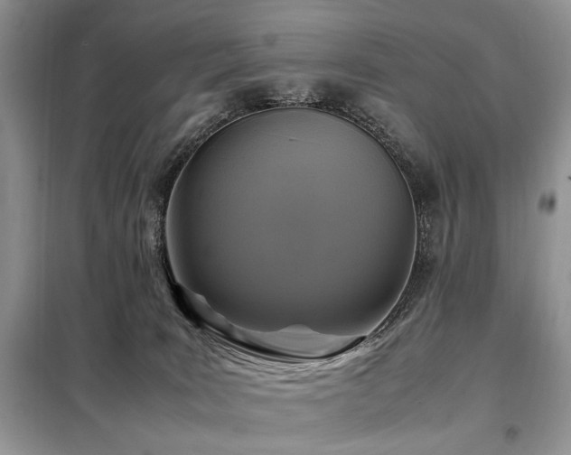 X0000099290035200805021242