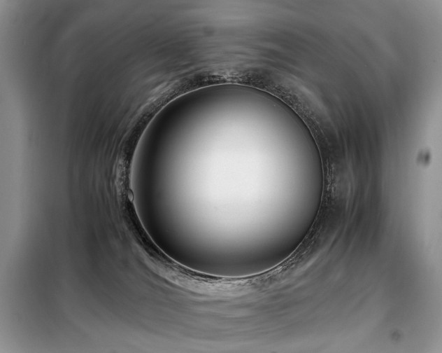 X0000099290036200805021242
