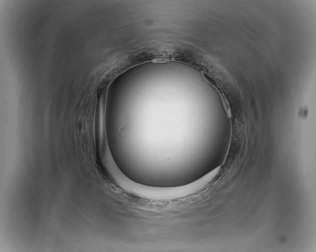 X0000099290037200805021242