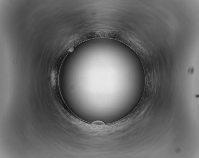 X0000099290038200805021242