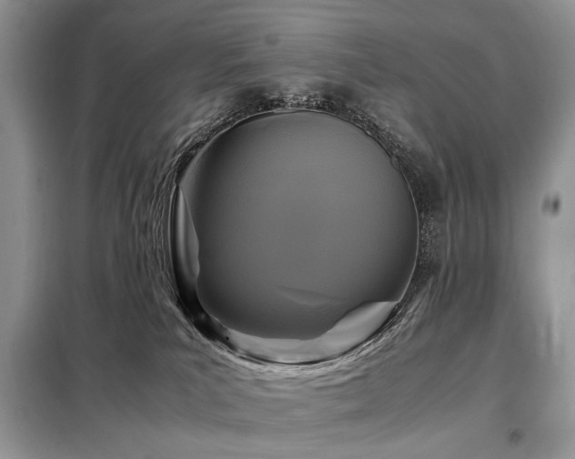 X0000099290039200805021242