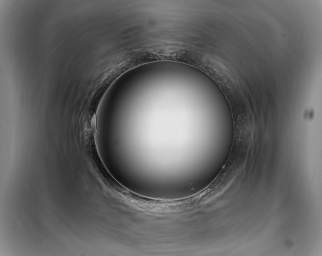 X0000099290040200805021242