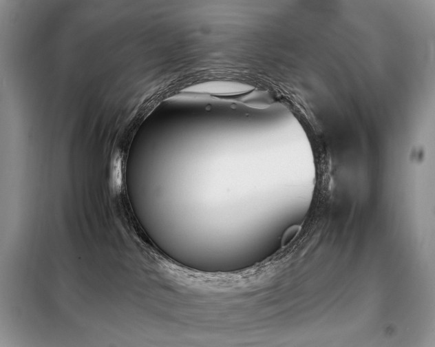 X0000099290042200805021242