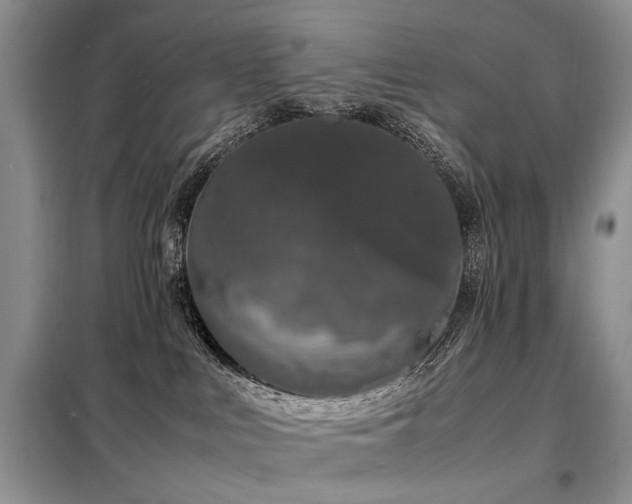 X0000099290043200805021242