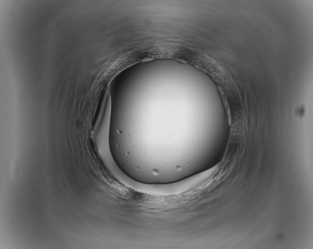 X0000099290045200805021242