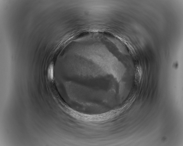 X0000099290046200805021242
