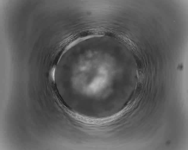 X0000099290047200805021242