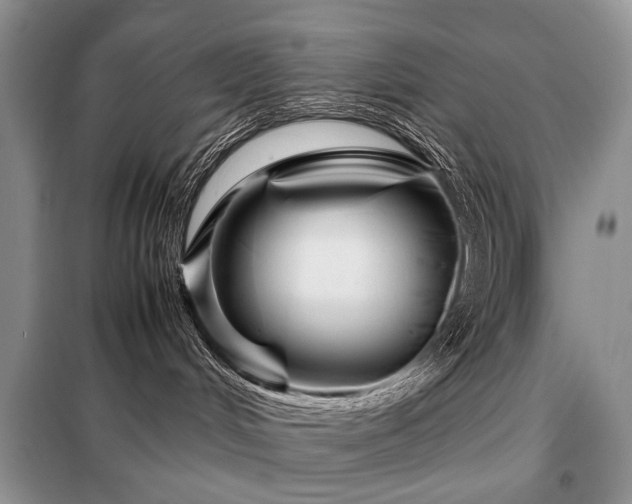 X0000099290048200805021242