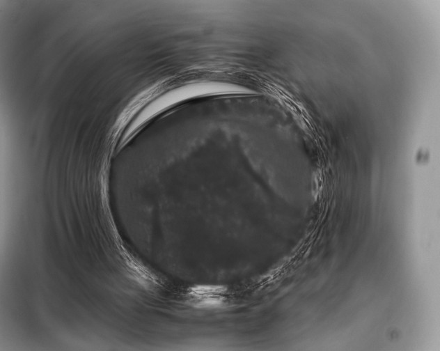 X0000099290051200805021241