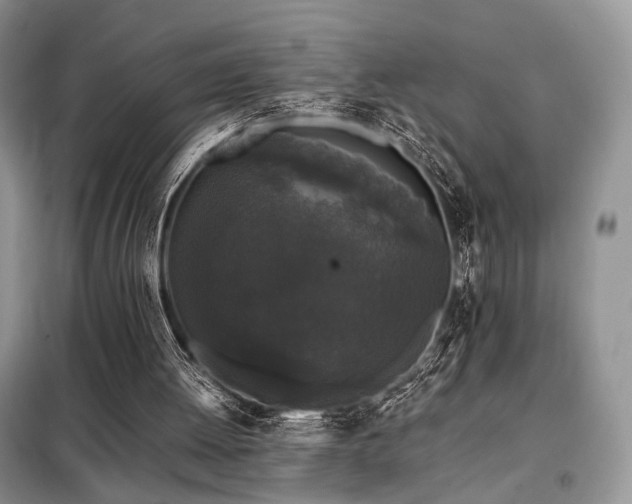 X0000099290052200805021241