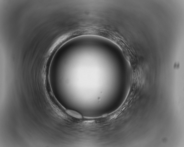 X0000099290054200805021241