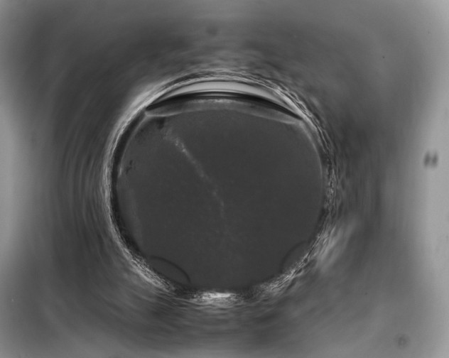X0000099290055200805021241