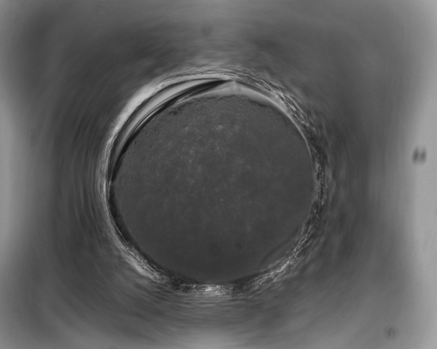 X0000099290056200805021241