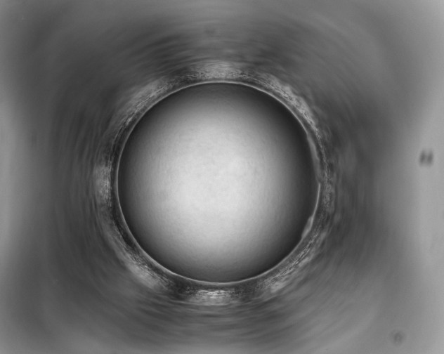 X0000099290057200805021241