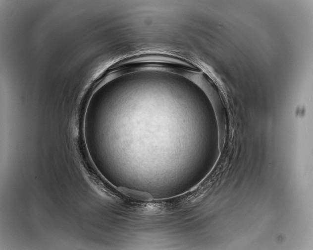 X0000099290060200805021241